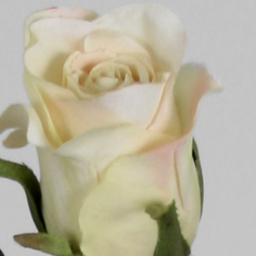 [9140-10] Rose (Alternative 7)