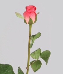 [4030] Rose (Alternative 11)