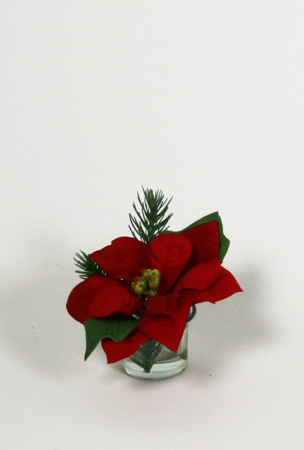 Poinsettia in Water