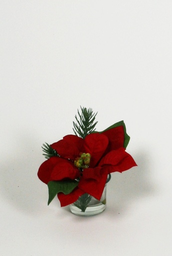 Poinsettia in Water