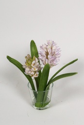 [6962] Hyacint in Water (Alternative 1)