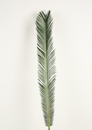 [85-106] Cycas palm leaf (Alternative 1)