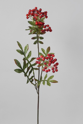 Rowan Berry
