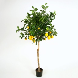 [1234-140] Lemon tree (Alternative 1)