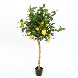 [1234-110] Lemon tree (Alternative 2)