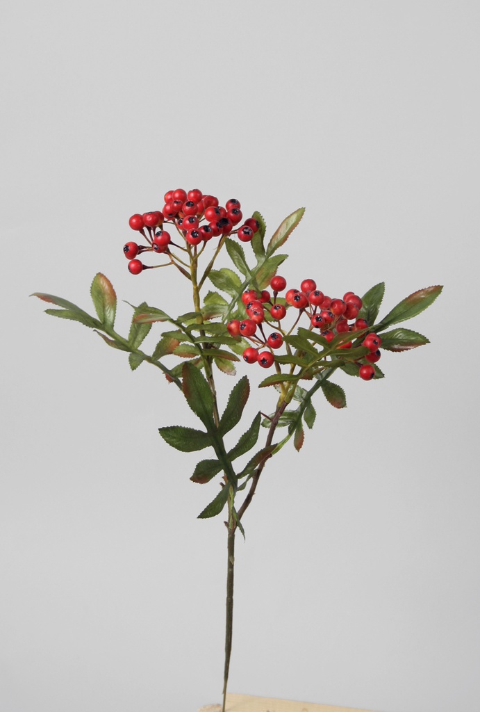Rowan Berry