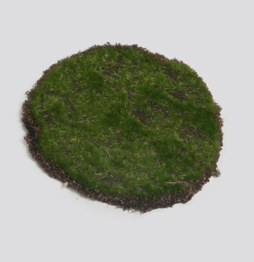 Moss