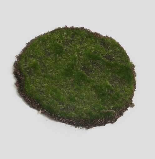 Moss