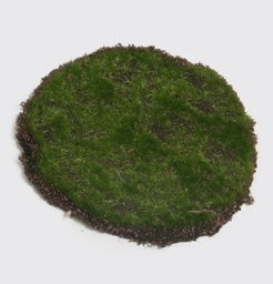 [4095] Moss (Alternative 2)