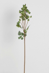 [4424] Rosehip (Alternative 1)