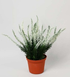 [115-1-b] Erica (Alternative 2)