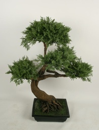 [1241-060] Bonsai (Alternative 1)
