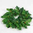 [5855] Oak wreath  (Alternative 2)