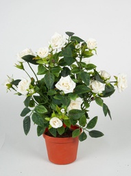 [180-1-12] Mini Rose (Alternative 3)