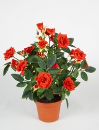 [180-1-15] Mini Rose (Alternative 4)