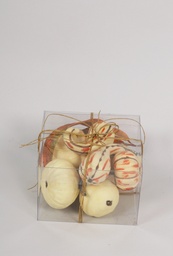 [3113] boston pumpkin assorted (Alternative 1)