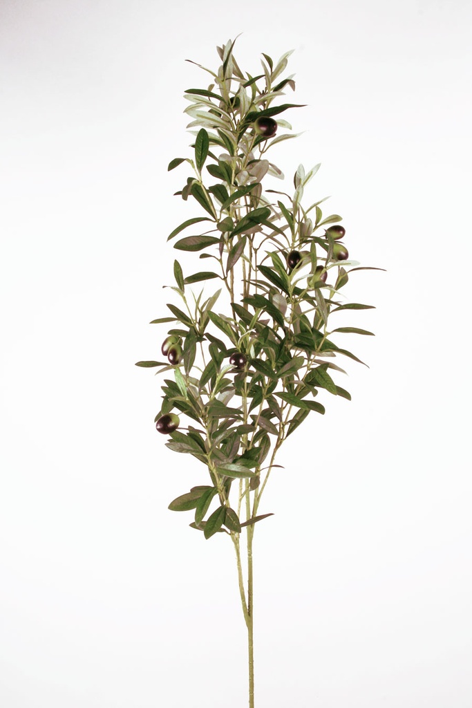 Olive spray