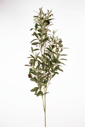 [9615-1] Olive spray (Alternative 1)