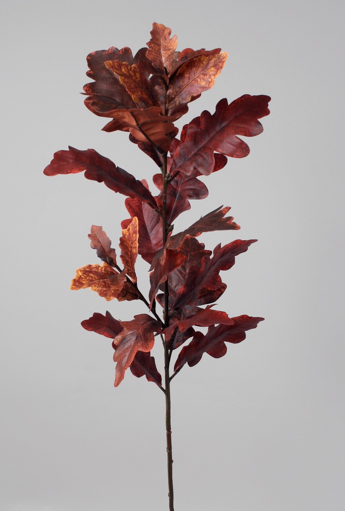 Oak Leaf