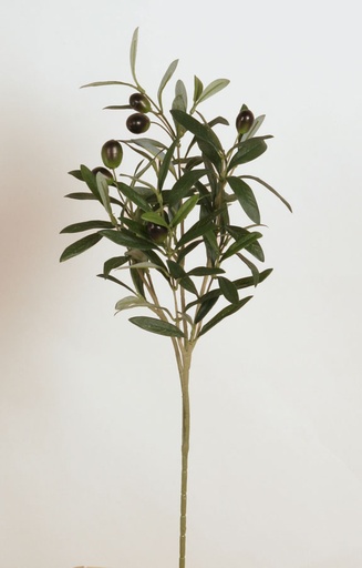 Olive spray
