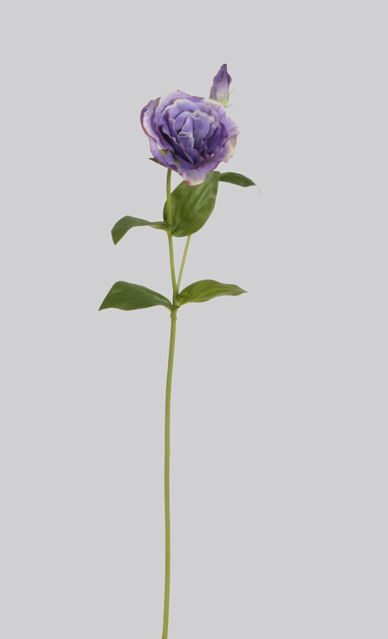 Lisianthus