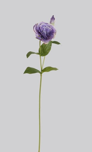 Lisianthus