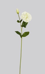 [4512] Lisianthus (Alternative 2)