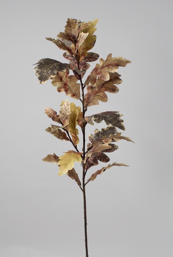 Oak Leaf
