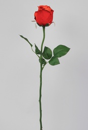 [4932] Rose Bud (Alternative 2)