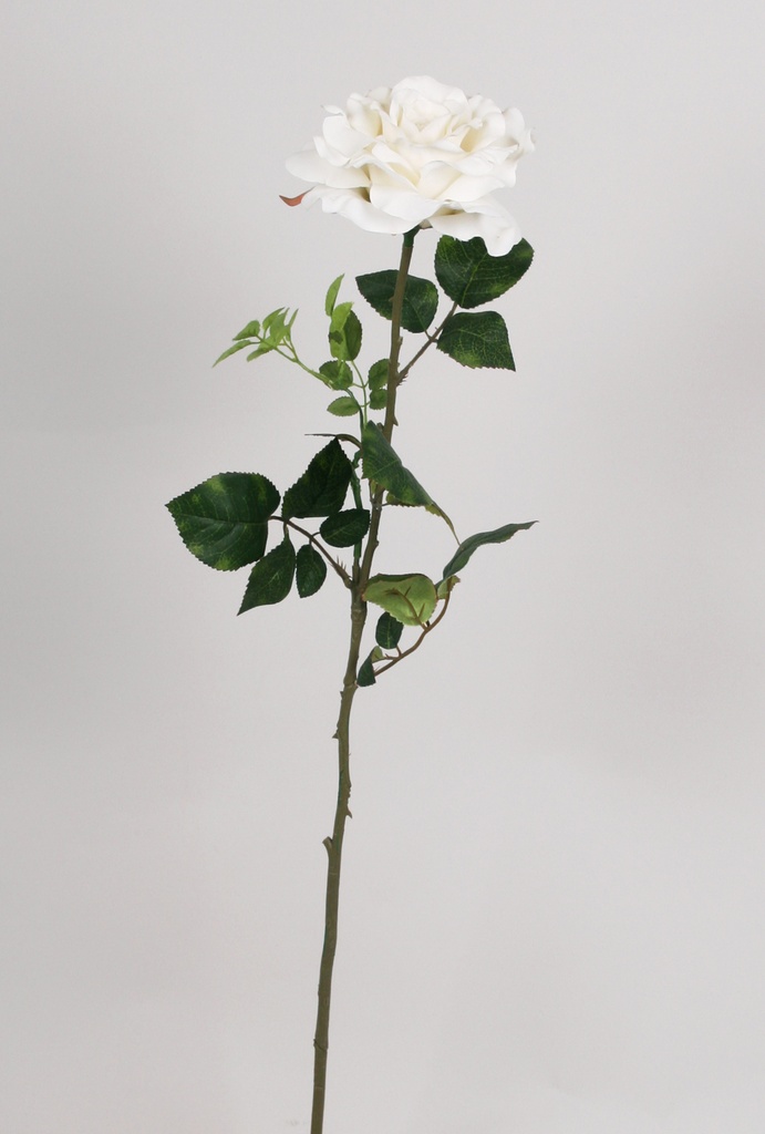 Rose Satin