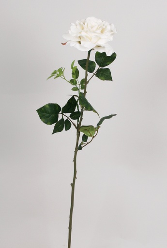 Rose Satin