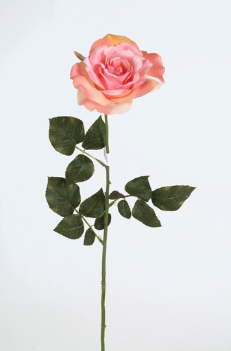 Rose Satin