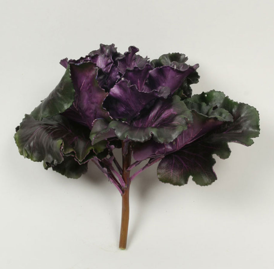 Ruffled Kale