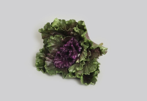 Ruffled Kale