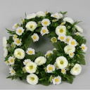 [5456] mixed bellis daisy wreath (Alternative 1)