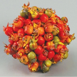 [9514] Rosehip Wreath (Alternative 1)