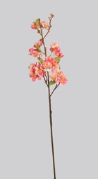 [4468] Apple Spray (Alternative 2)