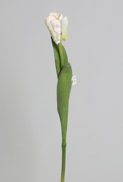 [6768] Tulip (Alternative 2)