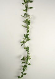[5927-1] Petunia Vine (Alternative 1)
