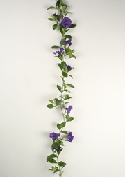 [5927-8] petunia vine (Alternative 3)