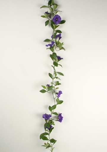 petunia vine