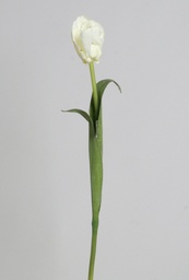 [6769] Tulip (Alternative 3)