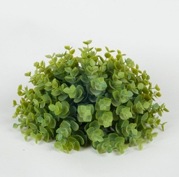 [5664] mini eucalypus (Alternative 1)