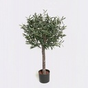 [07-080] Olive (Alternative 1)