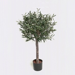 [07-080] Olive Tree (Alternative 1)