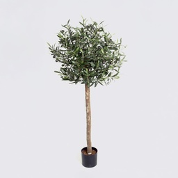 [07-110] Olive Tree (Alternative 2)