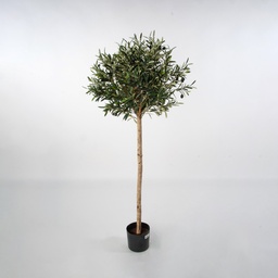 [07-140] Olive Tree (Alternative 3)