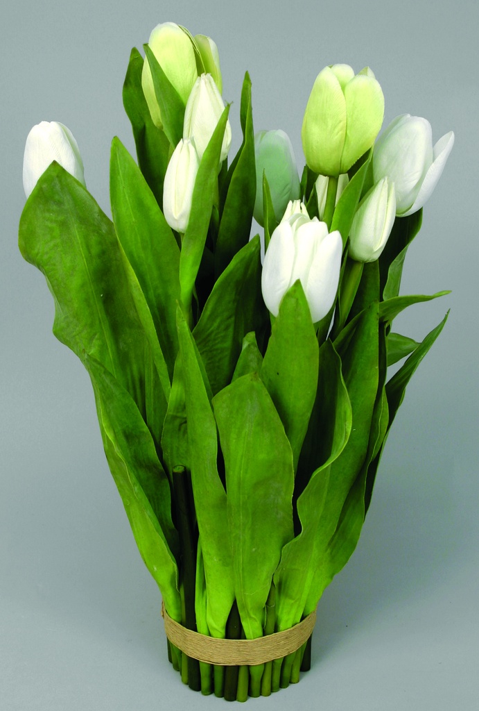 Tulip Bundle
