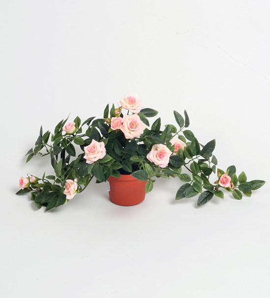 mini diamond rose