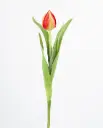 [9732] Tulip Bud (Alternative 3)